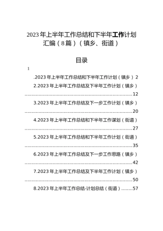 2023年上半年工作总结和下半年工作计划汇编（8篇）（镇乡、街道）
