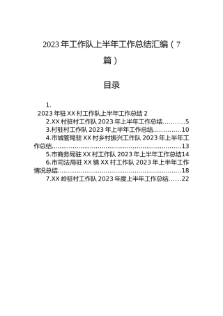 2023年工作队上半年工作总结汇编（7篇）