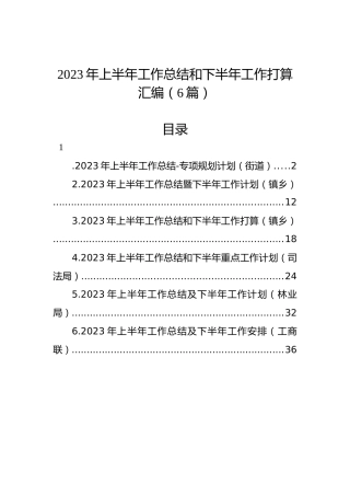 2023年上半年工作总结和下半年工作打算汇编（6篇）