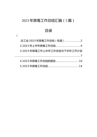 2023年禁毒工作总结汇编（5篇）