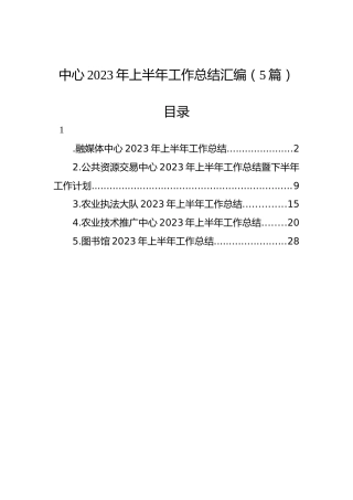 中心2023年上半年工作总结汇编（5篇）