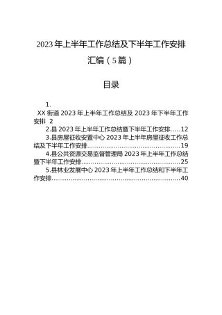 2023年上半年工作总结及下半年工作安排汇编（5篇）