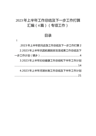 2023年上半年工作总结及下一步工作打算汇编（4篇）（专项工作）