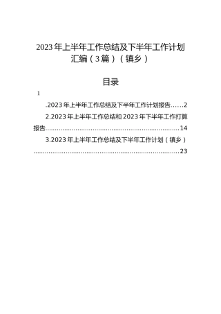 2023年上半年工作总结及下半年工作计划汇编（3篇）（镇乡）
