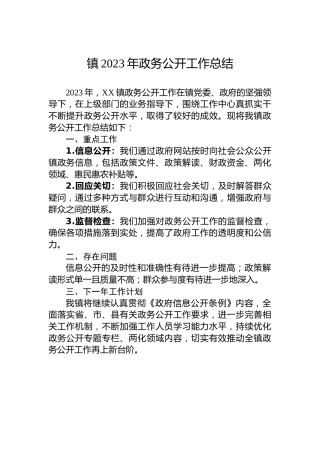 镇2023年政务公开工作总结 (3)