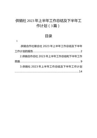 供销社2023年上半年工作总结及下半年工作计划（3篇）