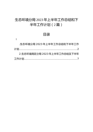 生态环境分局2023年上半年工作总结和下半年工作计划（2篇）