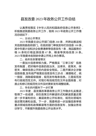 县发改委2023年政务公开工作总结 (2)