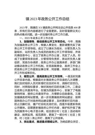 镇2023年政务公开工作总结 (2)