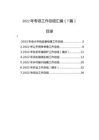 2022年专项工作总结汇编（7篇）