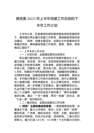 镇党委20223年上半年党建工作总结和下半年工作计划