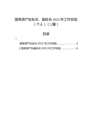 国有资产处处长、副处长2022年工作总结汇编（2篇）