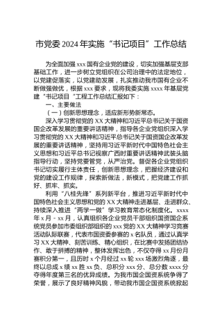 市党委2024年实施“书记项目”工作总结
