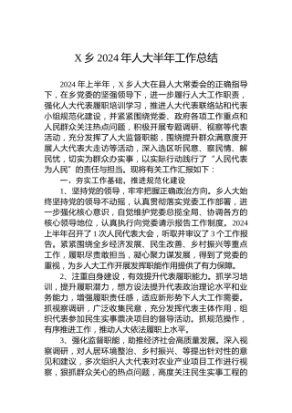 X乡2024年人大半年工作总结