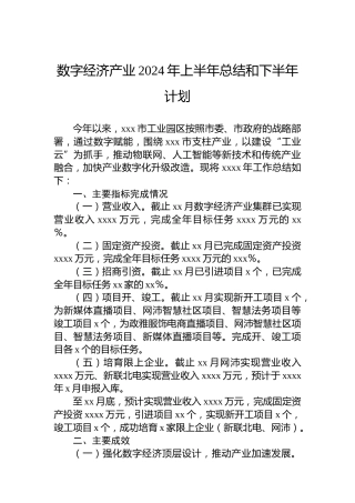 数字经济产业2024年上半年总结和下半年计划