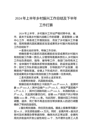 2024年上半年乡村振兴工作总结及下半年工作打算