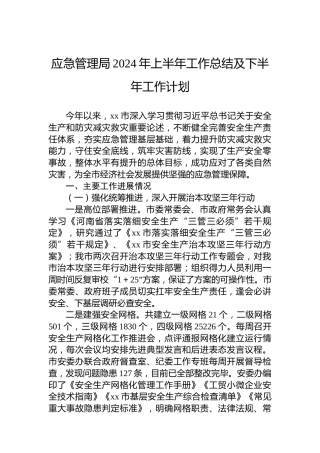应急管理局2024年上半年工作总结及下半年工作计划