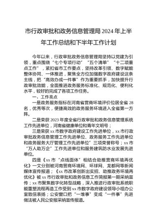 市行政审批和政务信息管理局2024年上半年工作总结和下半年工作计划