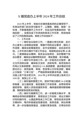 X镇党政办上半年2024年工作总结