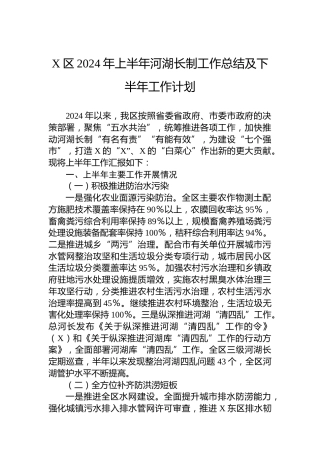 X区2024年上半年河湖长制工作总结及下半年工作计划