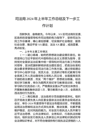 司法局2024年上半年工作总结及下一步工作计划