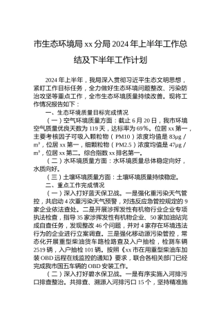 市生态环境局xx分局2024年上半年工作总结及下半年工作计划