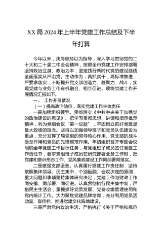 XX局2024年上半年党建工作总结及下半年打算