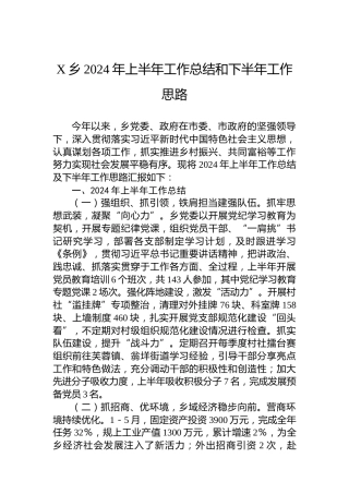 X乡2024年上半年工作总结和下半年工作思路