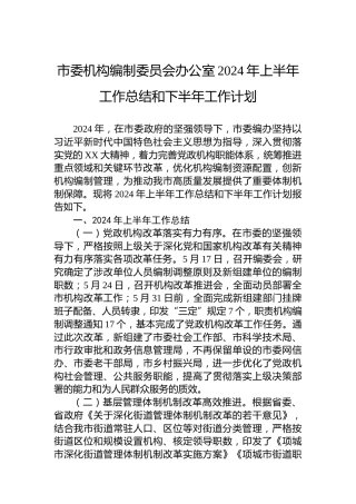 市委机构编制委员会办公室2024年上半年工作总结和下半年工作计划