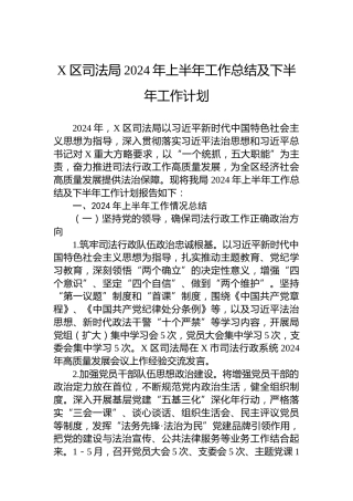 X区司法局2024年上半年工作总结及下半年工作计划