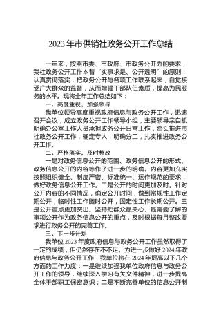 2023年市供销社政务公开工作总结