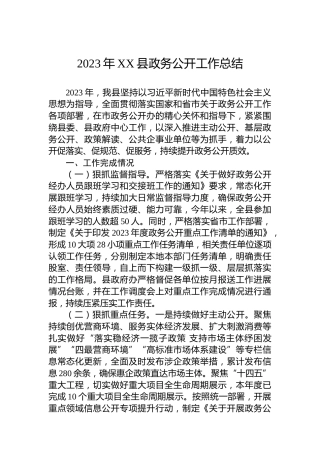 2023年XX县政务公开工作总结