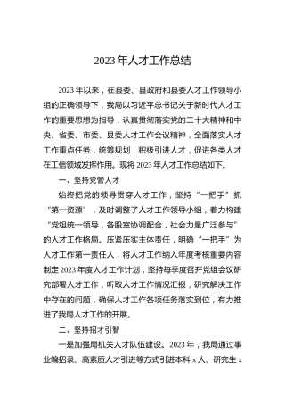 2023年人才工作总结