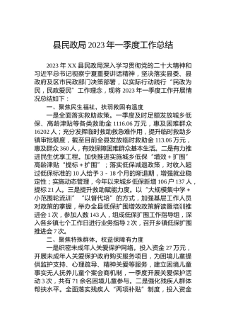县民政局2023年一季度工作总结