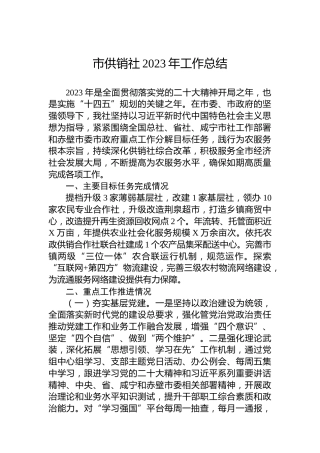 市供销社2023年工作总结