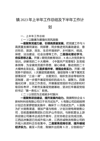 镇2023年上半年工作总结及下半年工作计划