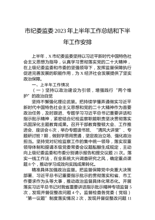 市纪委监委2023年上半年工作总结和下半年工作安排