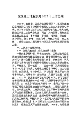 区规划土地监察局2023年工作总结