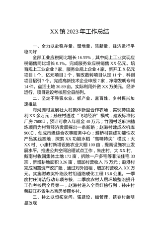 XX镇2023年工作总结