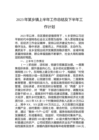 2023年某乡镇上半年工作总结及下半年工作计划