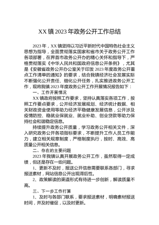 XX镇2023年政务公开工作总结