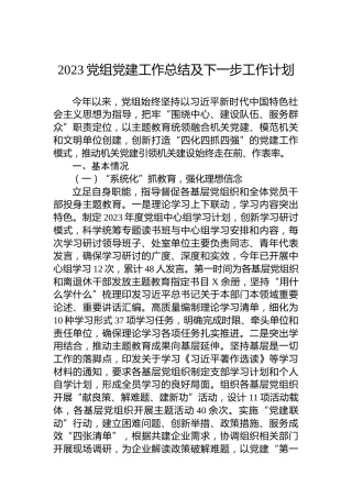 2023党组党建工作总结及下一步工作计划