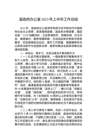 县政府办公室2023年上半年工作总结