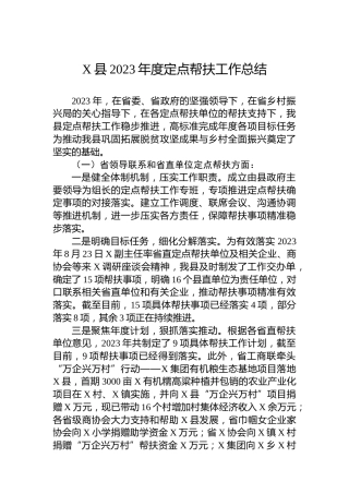 X县2023年度定点帮扶工作总结