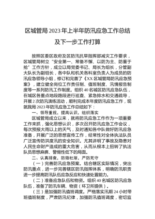 区城管局2023年上半年防汛应急工作总结及下一步工作打算