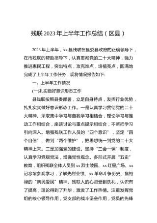 残联2023年上半年工作总结（区县）