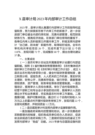 X县审计局2023年内部审计工作总结