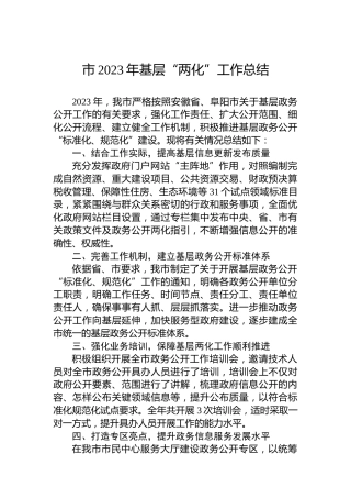 市2023年基层“两化”工作总结