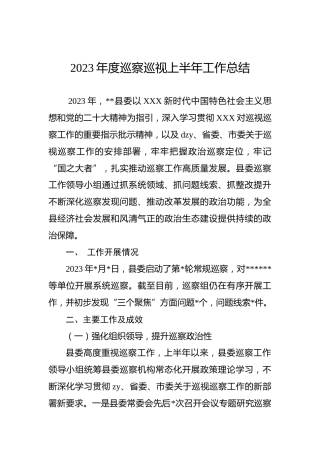 2023年度巡察巡视上半年工作总结