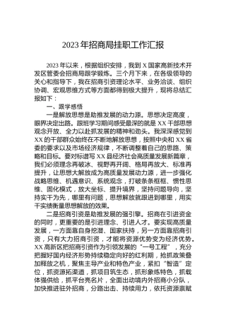 2023年招商局挂职工作汇报